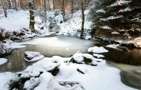 Snowy scene with frozen pool in Galloway Forest Park