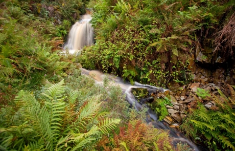 Waterfall flowing through bracken in Galloway Forest Park