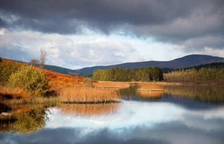 Loch in Galloway Forest Park