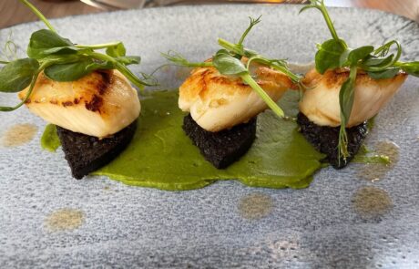 Locally sourced Kirkcudbright Scallops served at the best hotel in Dumfries and Galloway