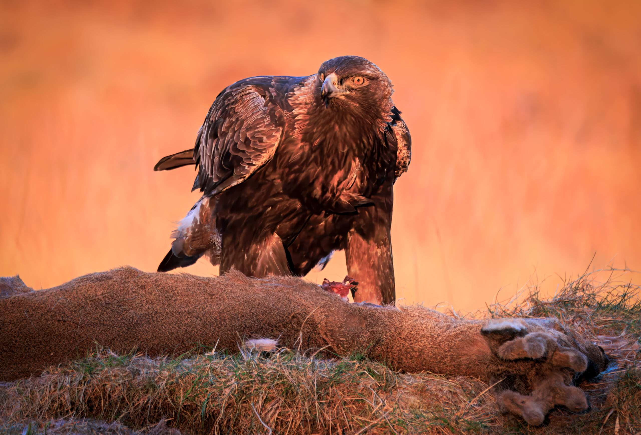 The Best Walks in Dumfries & Galloway